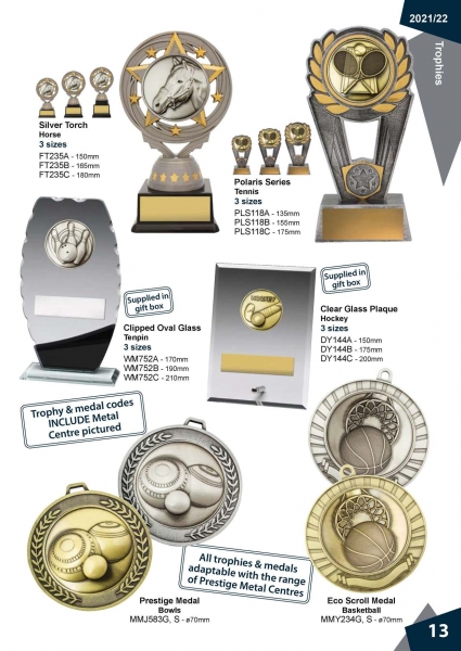 ENGRAVED TROPHY SCROLLS AND CENTRE SHIELD PERSONALISED TROPHY SCROLLS RIBBONS 